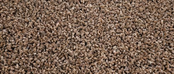 Dirty carpet before professional cleaning showing stains and wear