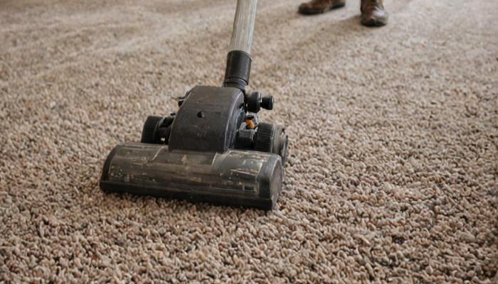 Professional carpet cleaning service in Indianapolis home