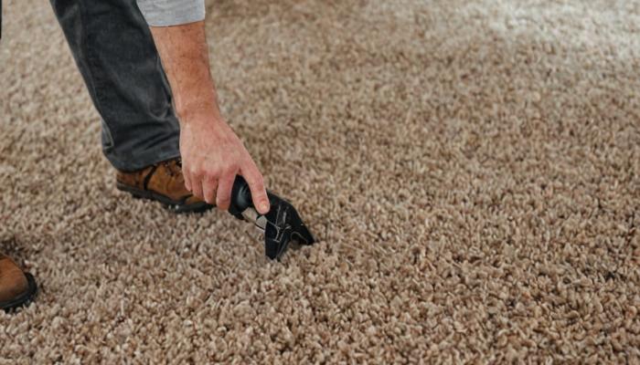 Professional technician assessing carpet condition